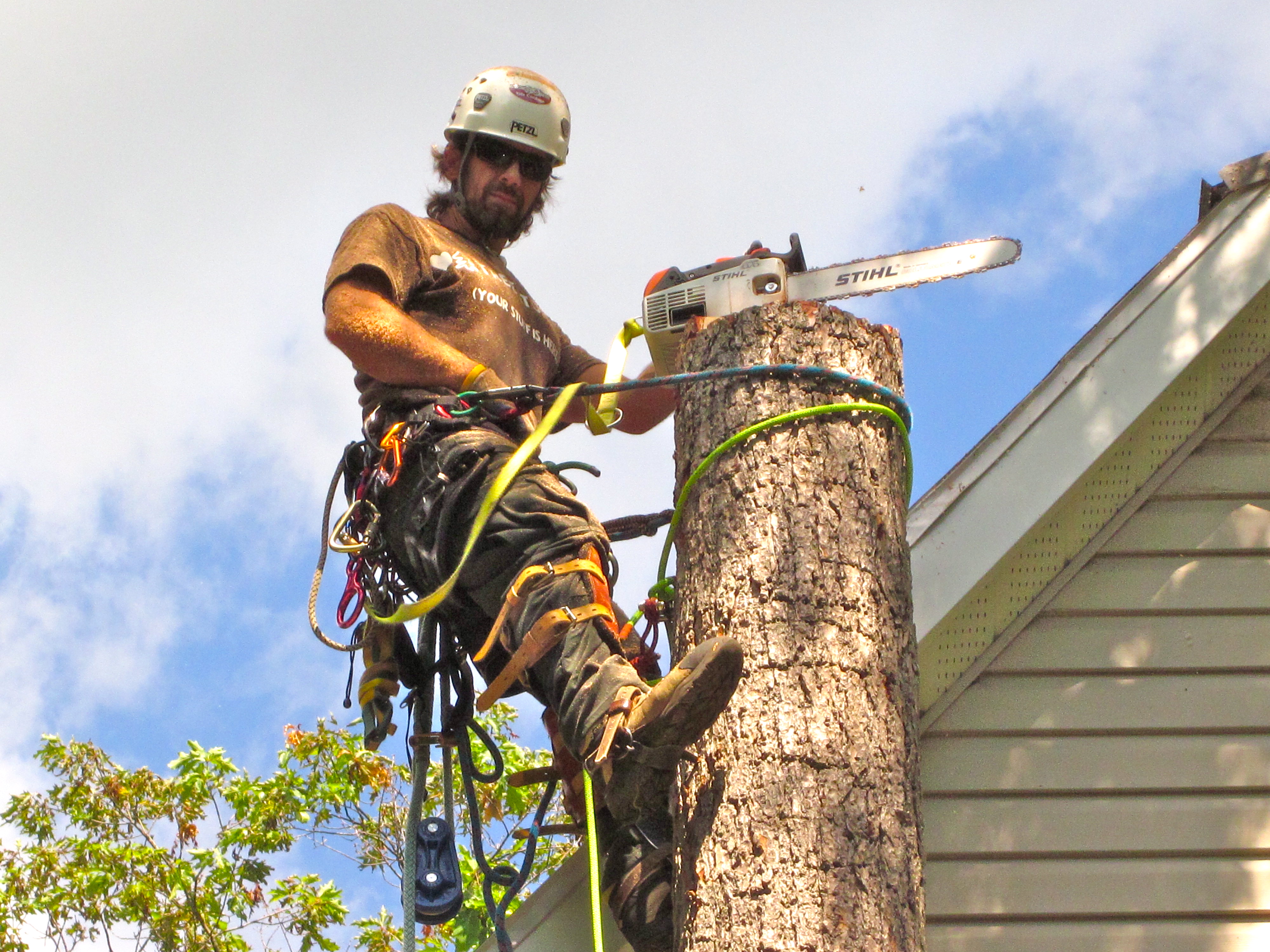 Gibson Tree Care